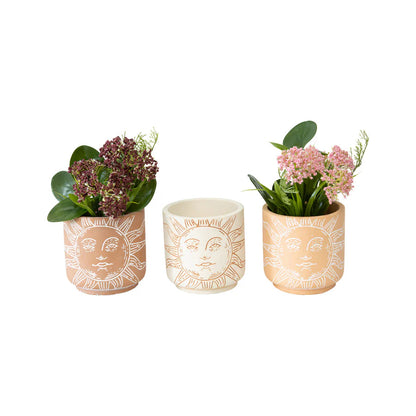 Sunshine Planters - Set of 3