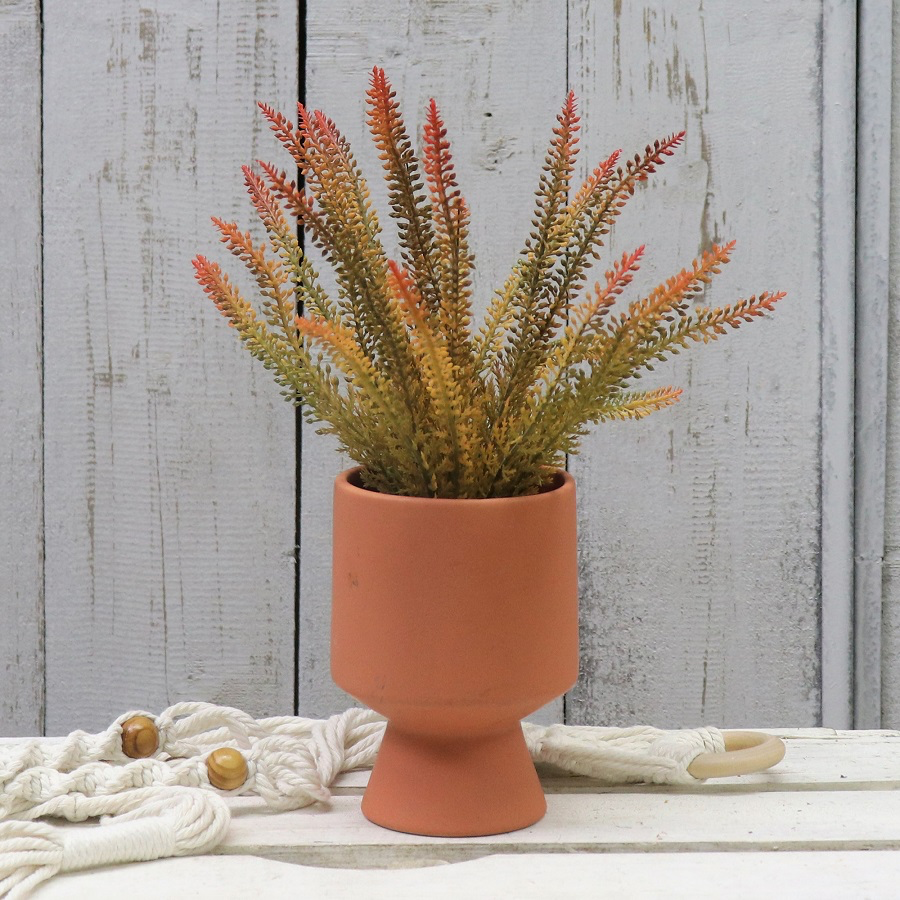 Fern in Ceramic Vase