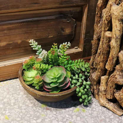 Kaori Mixed Succulent Bowl