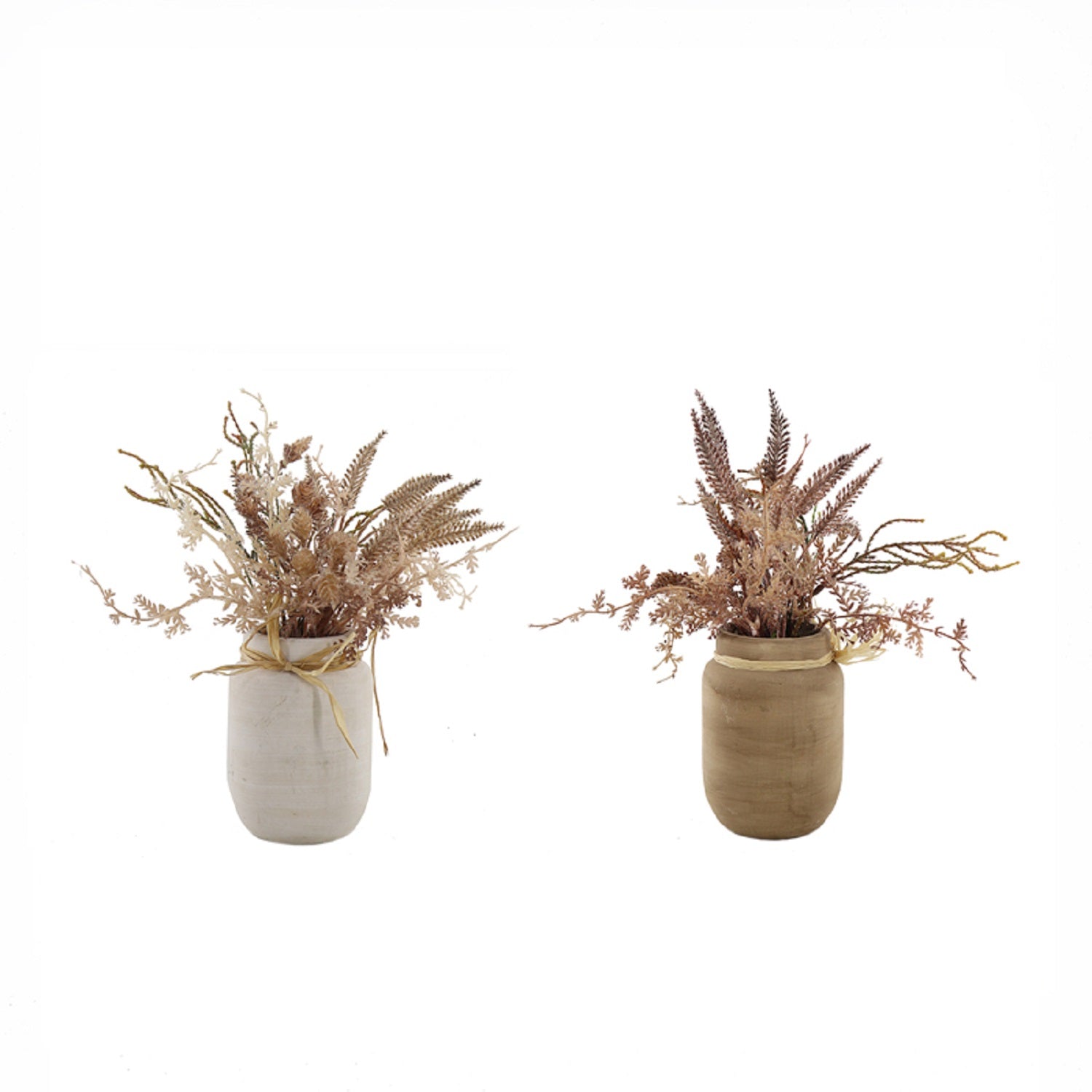 Dried Flowers Ceramic Vase (Set of 2)