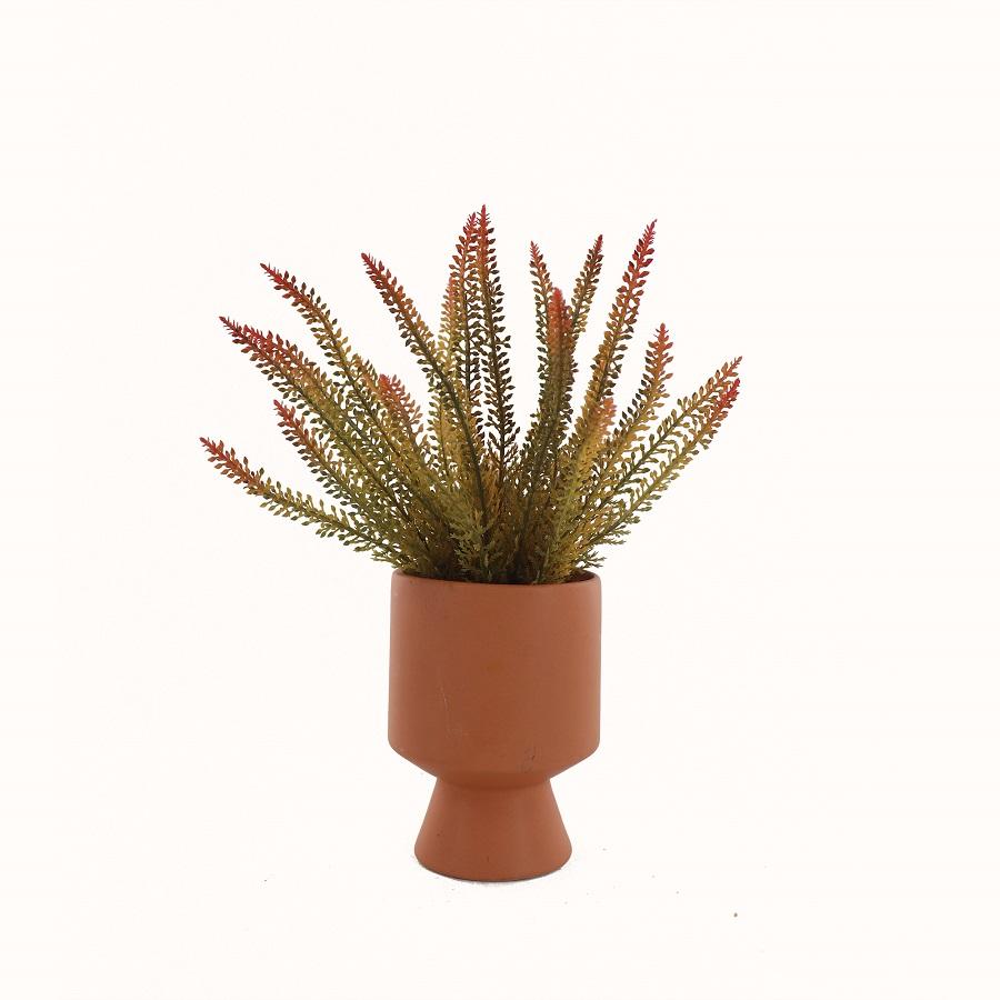 Fern in Ceramic Vase