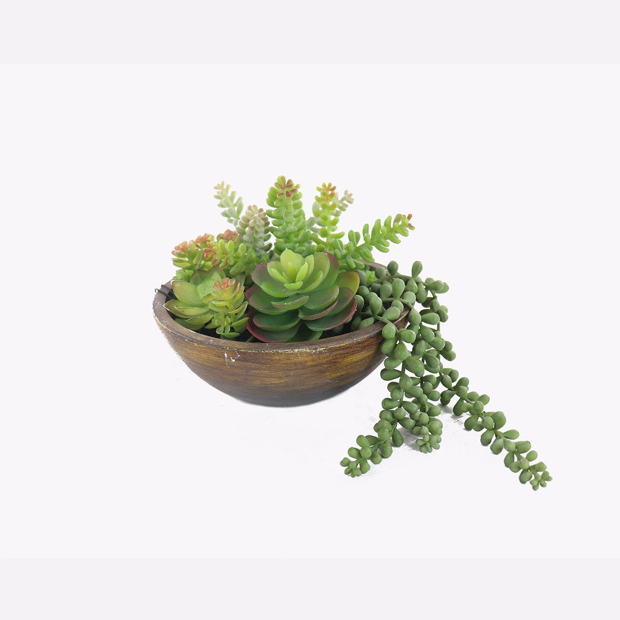 Kaori Mixed Succulent Bowl