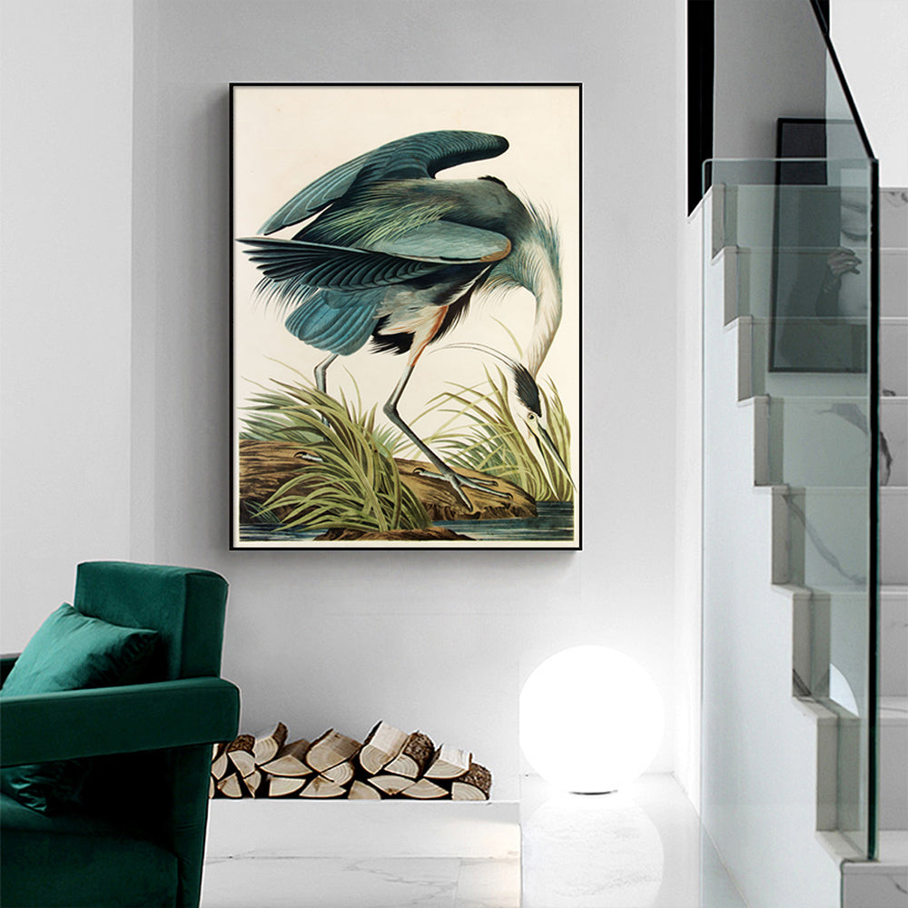 Great Blue Heron By John James Audubon Canvas Wall Art