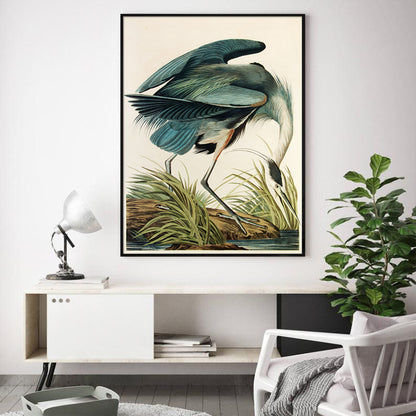 Great Blue Heron By John James Audubon Canvas Wall Art