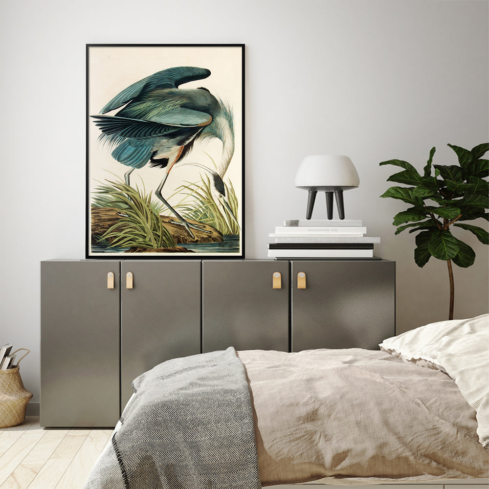 Great Blue Heron By John James Audubon Canvas Wall Art