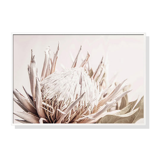 Pure Protea II White Canvas Wall Art